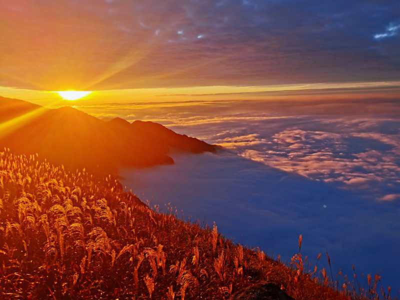 微信图片_202011021043125