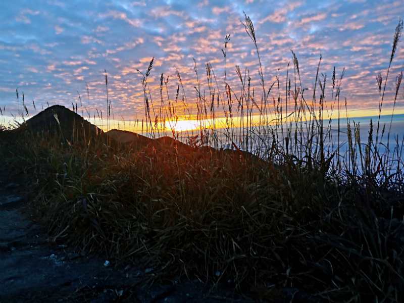 微信图片_202011021043126