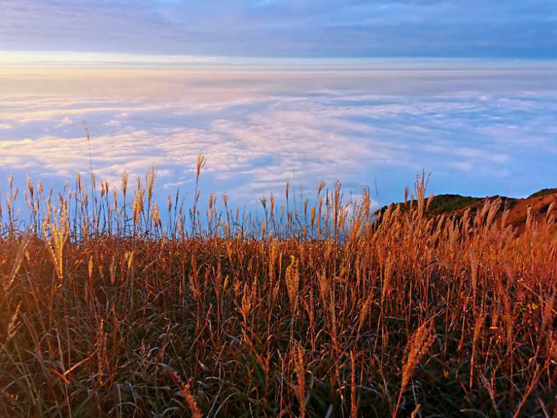 微信图片_202011021043381