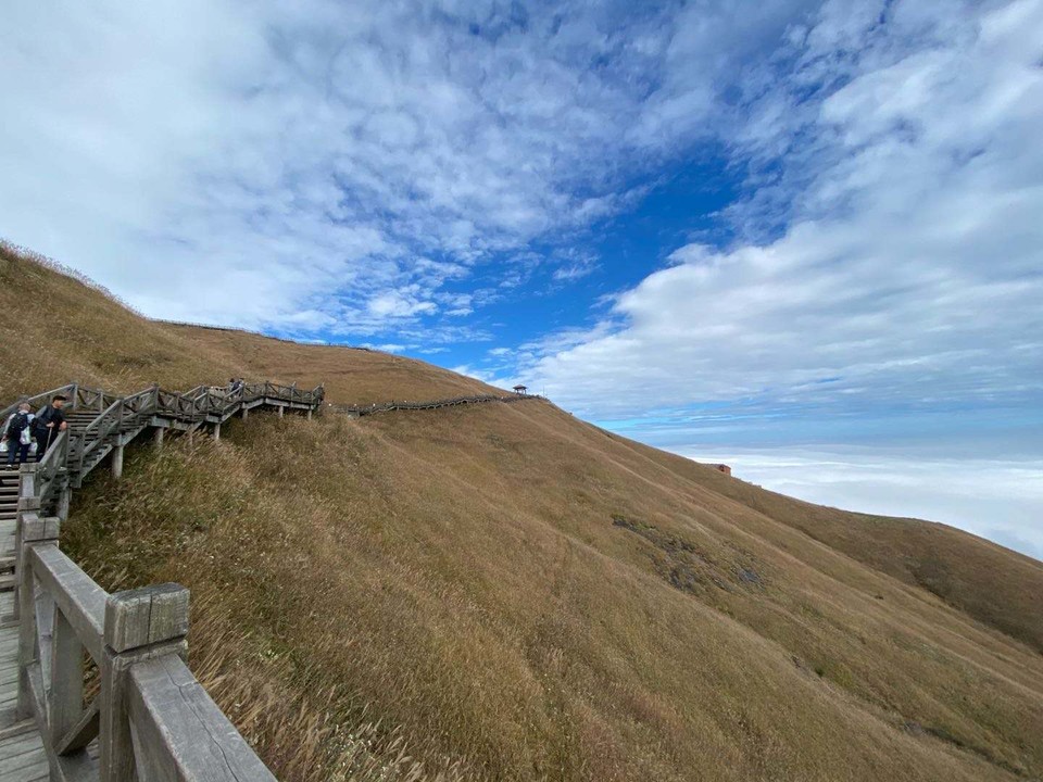 微信图片_202011021043384