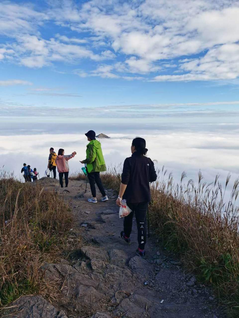 微信图片_202011021044013