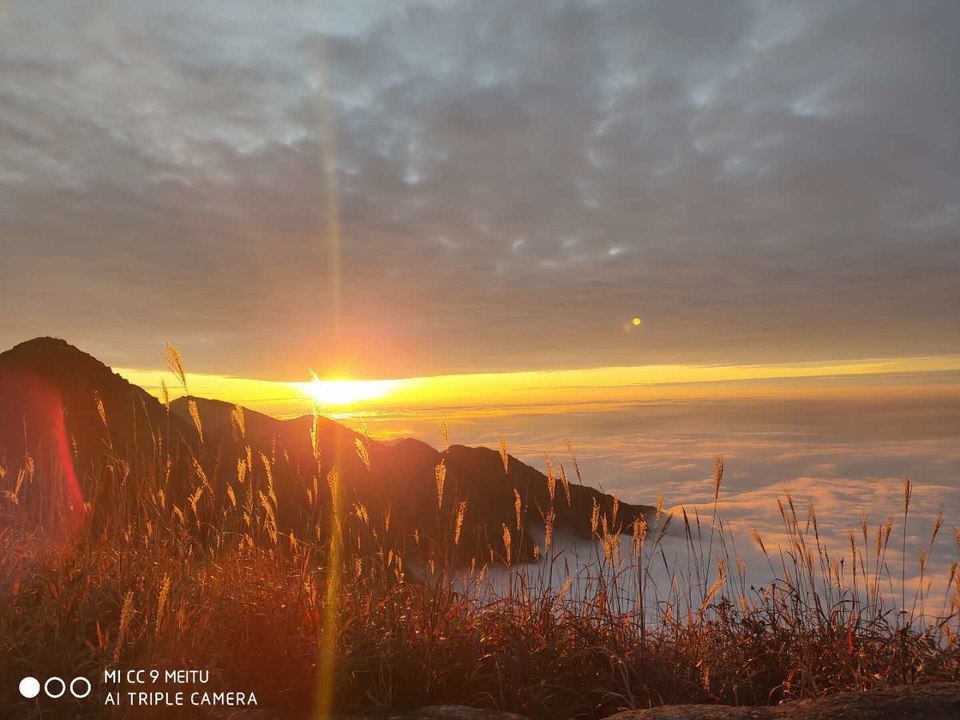 微信图片_202011021044015