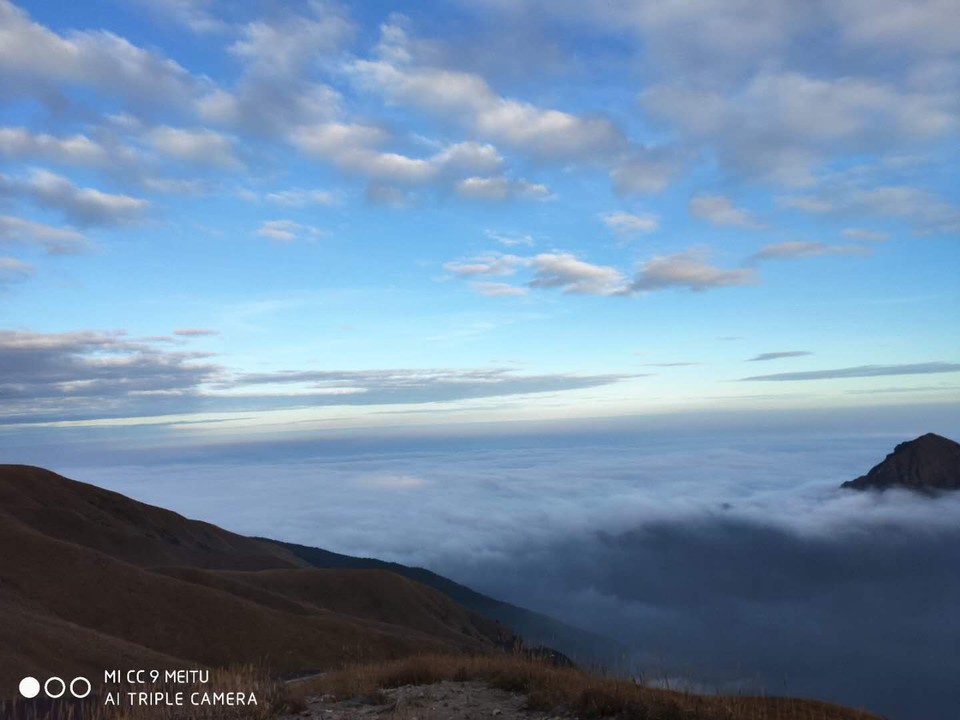 微信图片_202011021044016