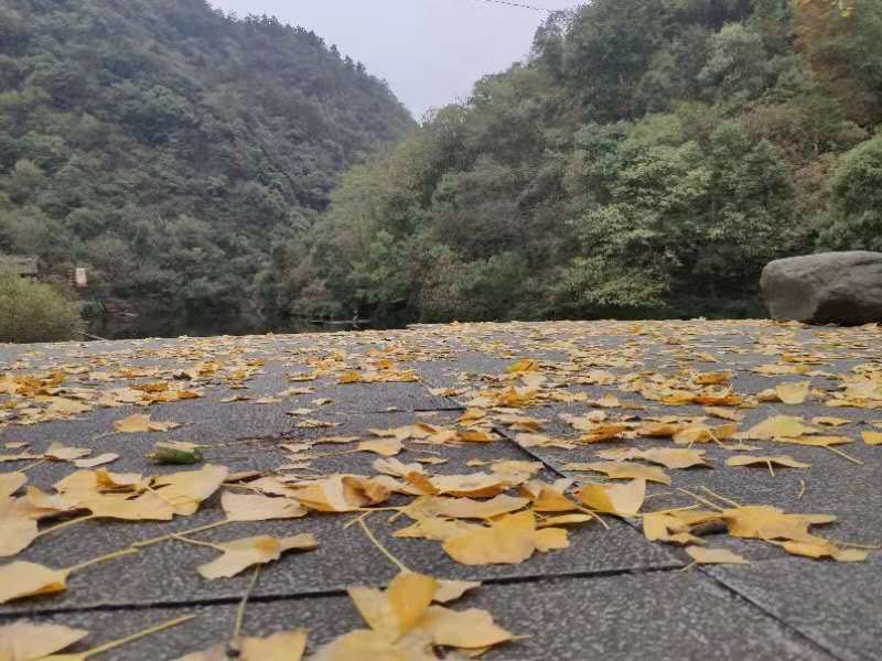 微信图片_20201102110912