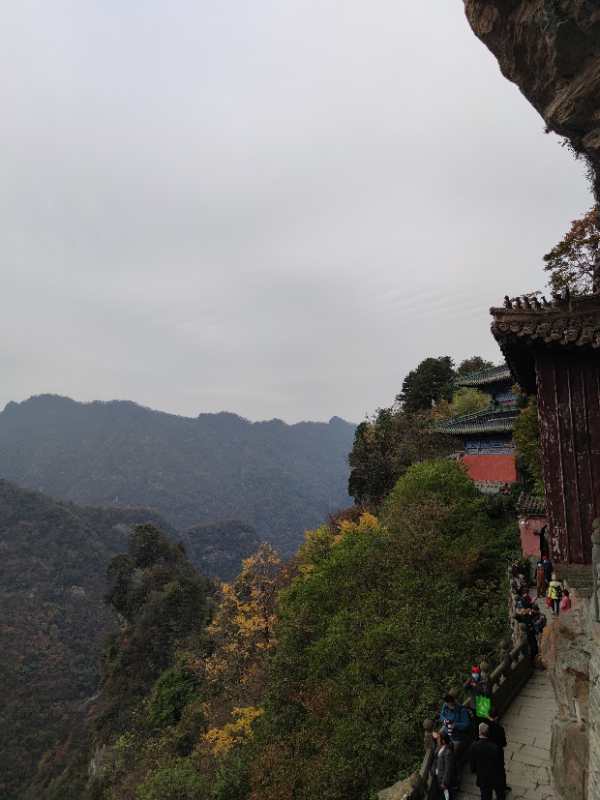 微信图片_20201102110936