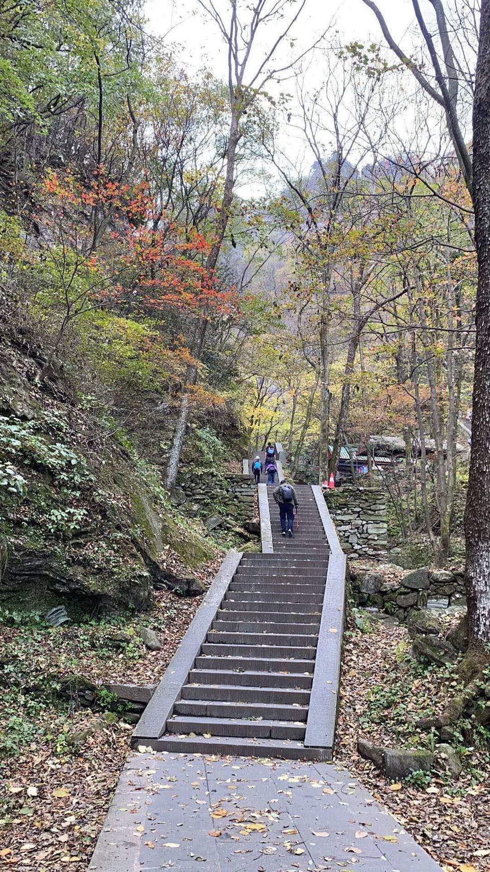 微信图片_20201102111116