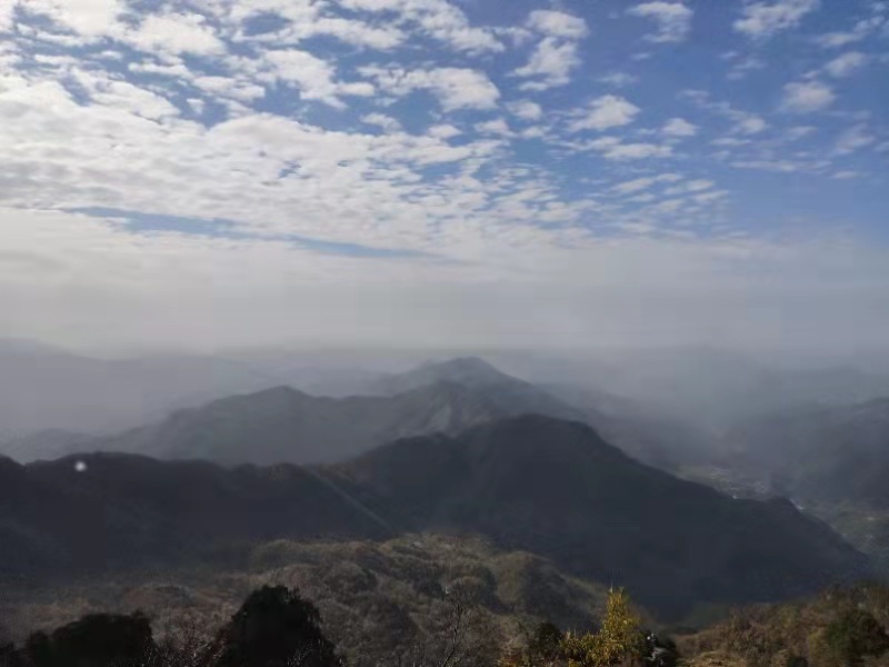 微信图片_20201102111315