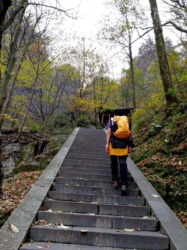 微信图片_20201102111340