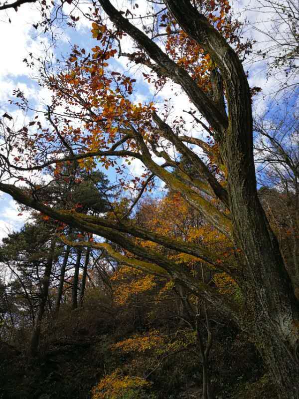 微信图片_20201102111450