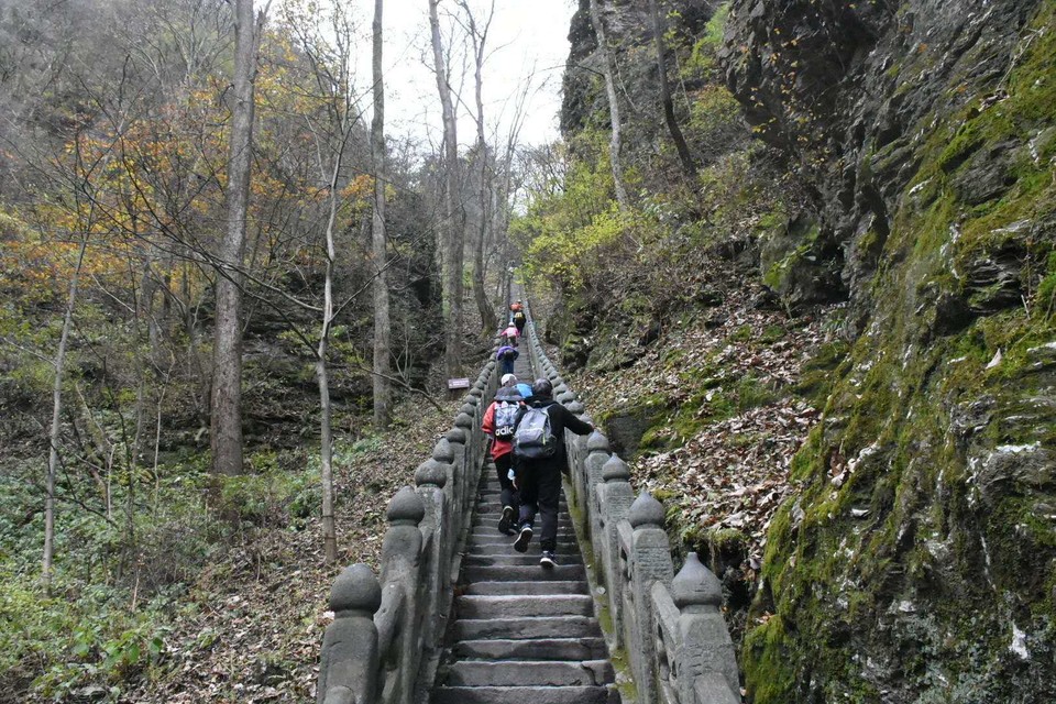 微信图片_20201102111610