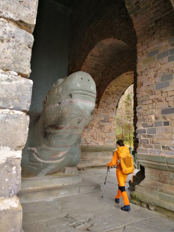 微信图片_202011021109125