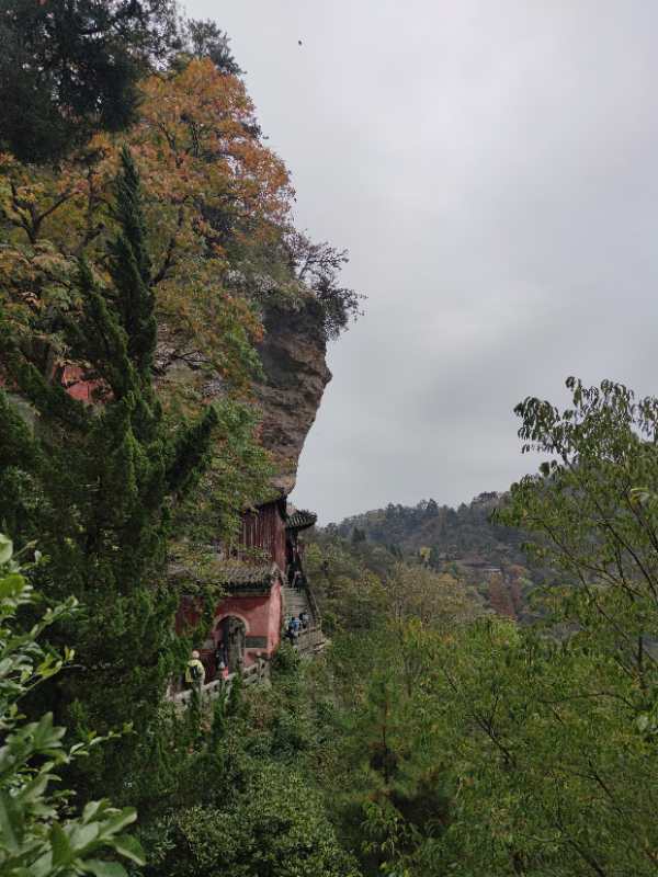 微信图片_202011021109362