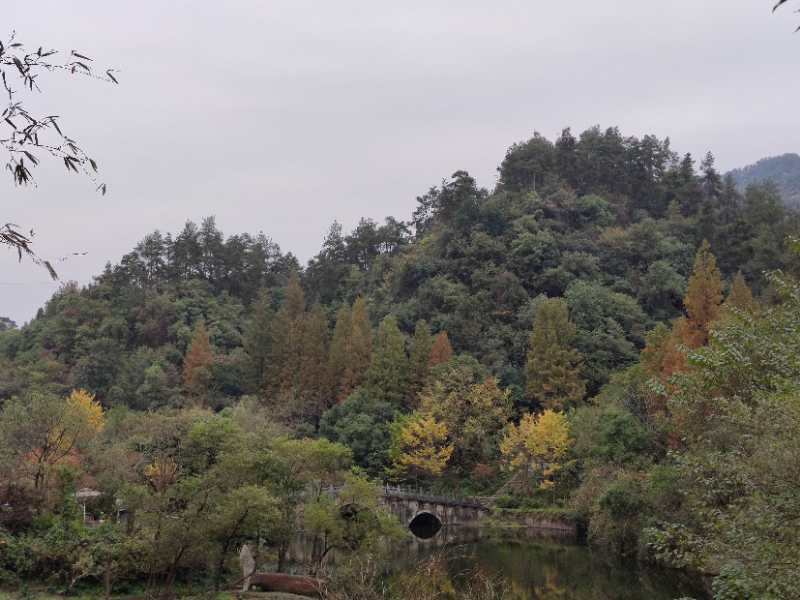 微信图片_202011021109591