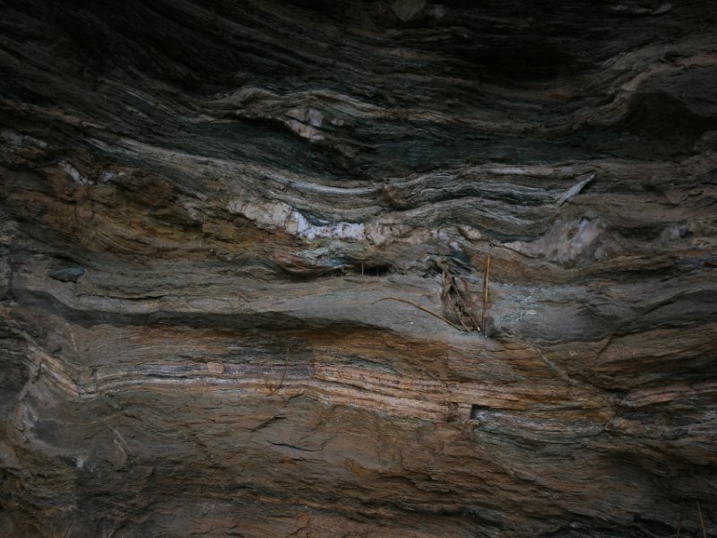 微信图片_202011021109596