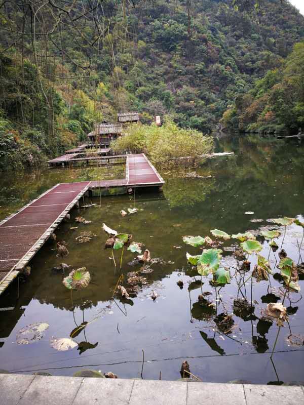 微信图片_202011021110202