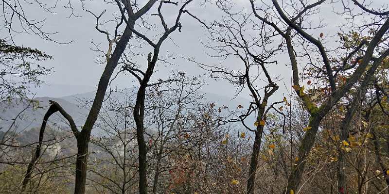 微信图片_202011021111161