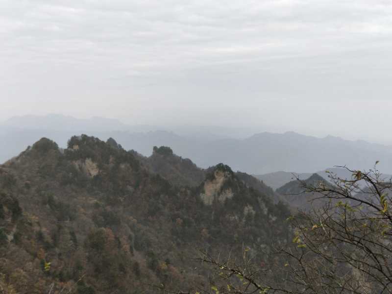 微信图片_202011021111162