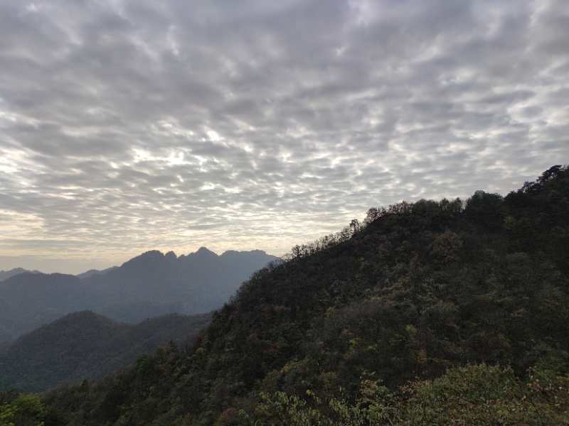 微信图片_202011021111164