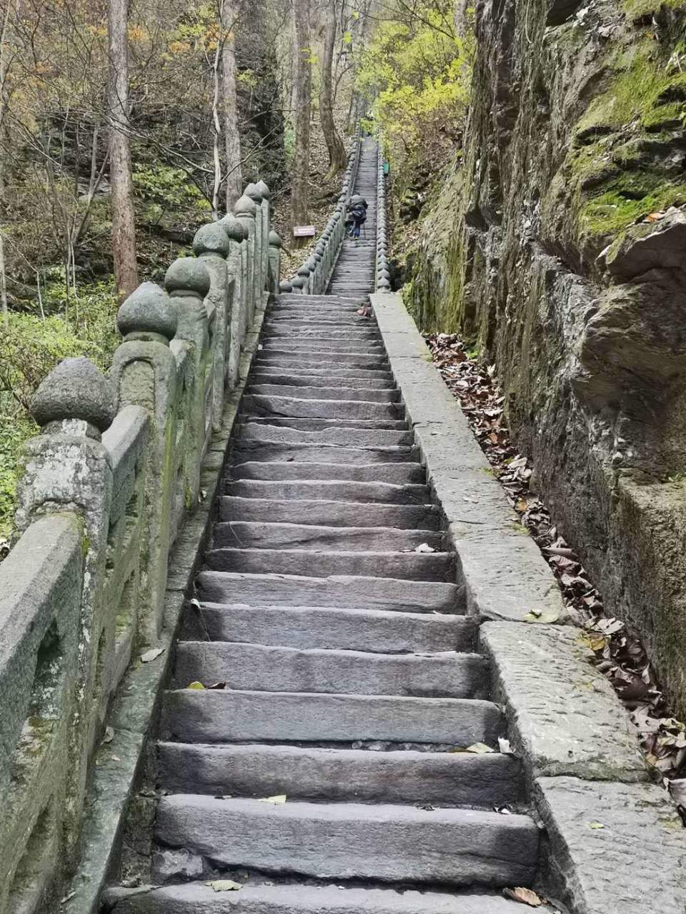 微信图片_202011021111165