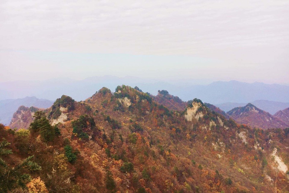 微信图片_202011021111484