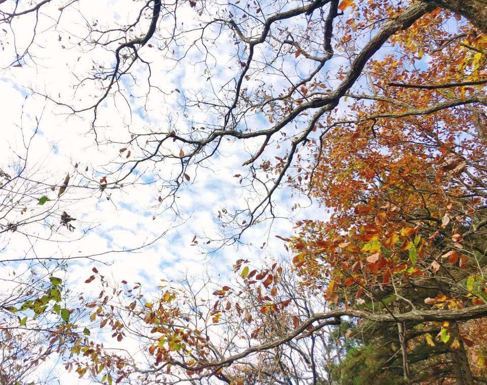 微信图片_202011021111485