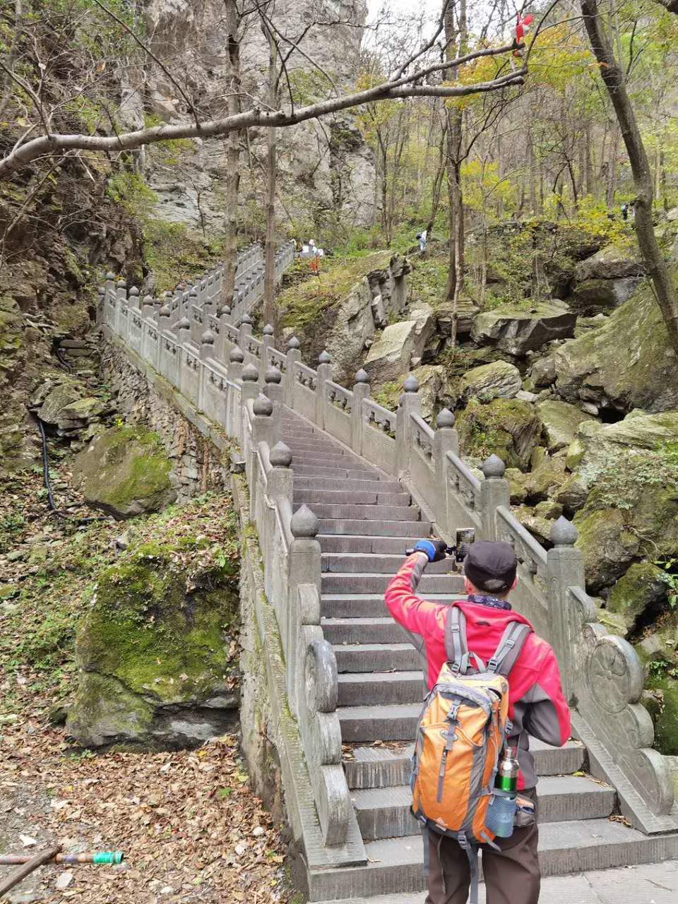 微信图片_202011021112115