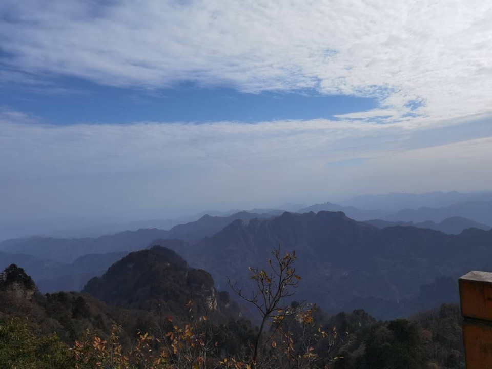 微信图片_202011021112116