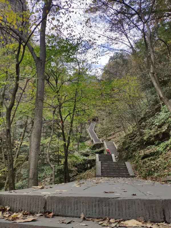 微信图片_202011021112505