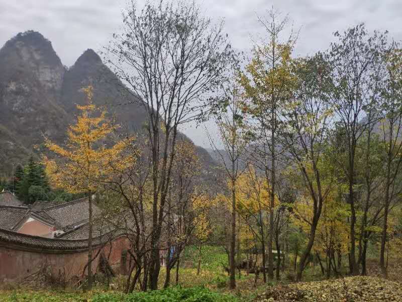 微信图片_202011021112507