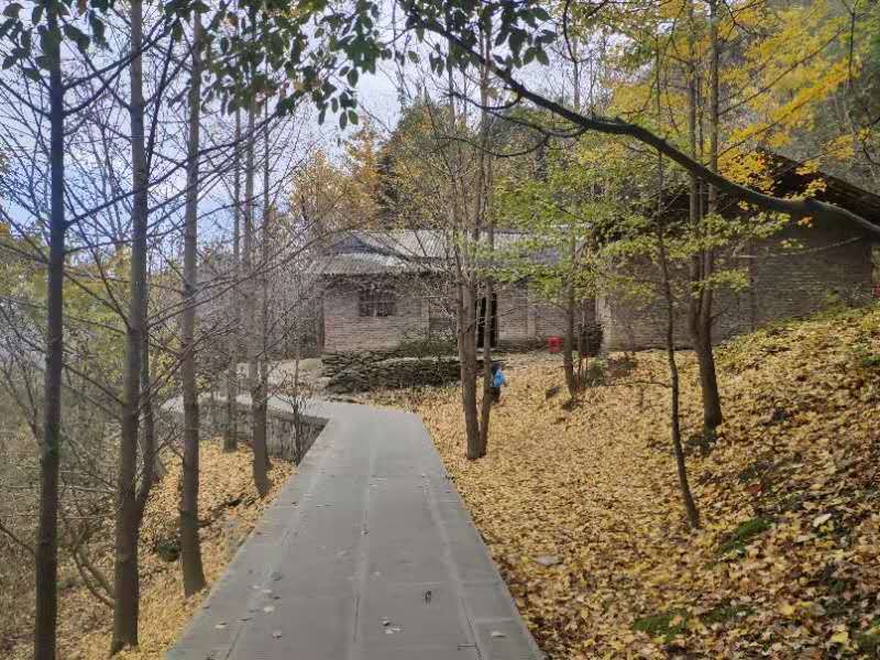 微信图片_202011021113151