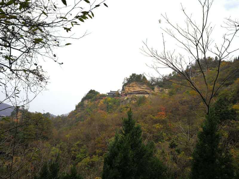 微信图片_202011021113154