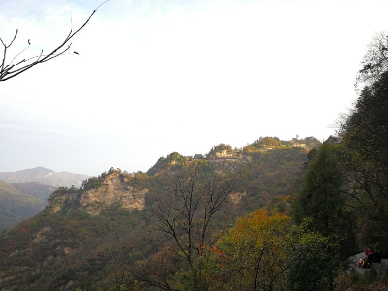 微信图片_202011021113155