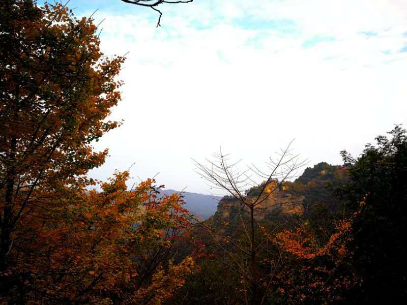 微信图片_202011021113156