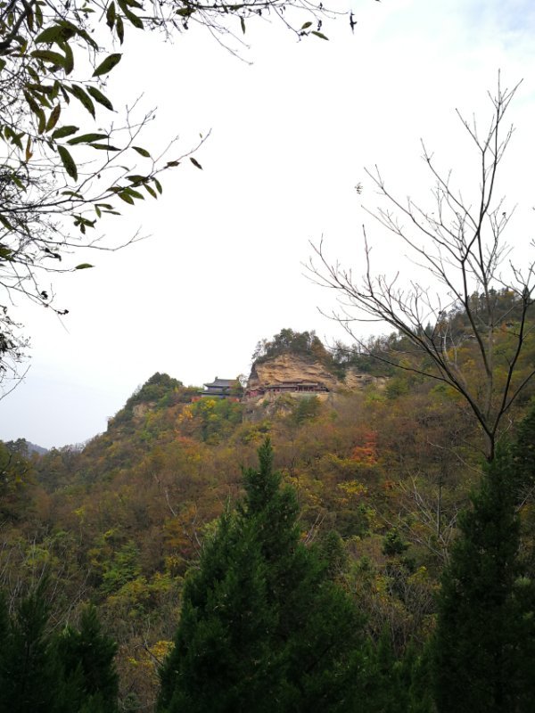 微信图片_202011021113157