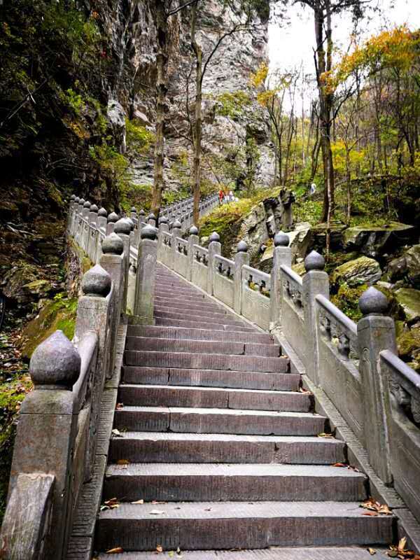 微信图片_202011021113402