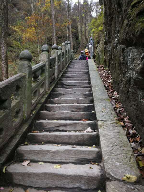 微信图片_202011021113406