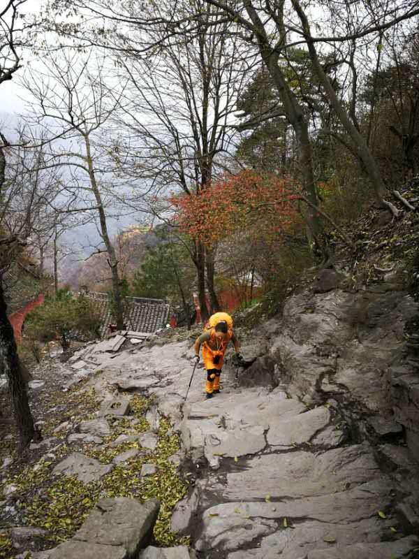 微信图片_202011021113407