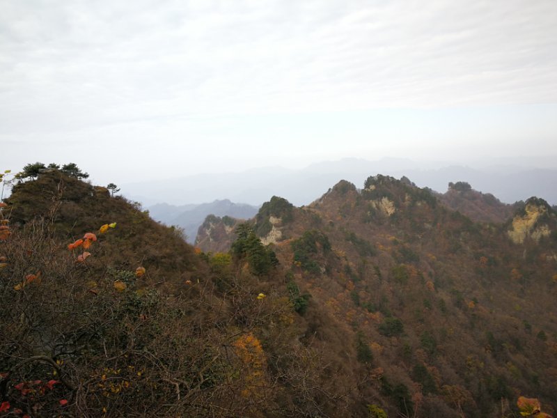 微信图片_202011021114172