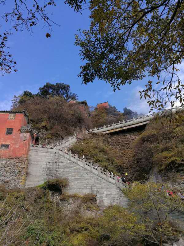 微信图片_202011021114177