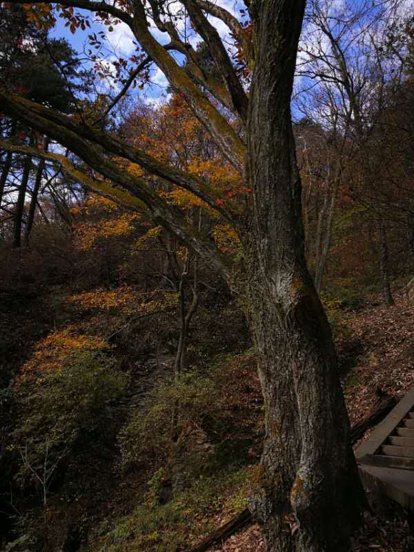 微信图片_202011021114501