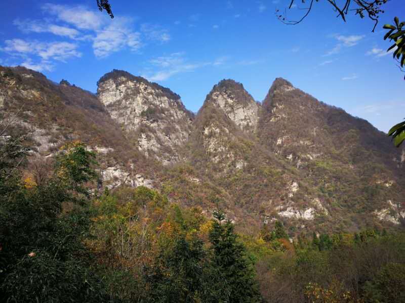 微信图片_202011021114502