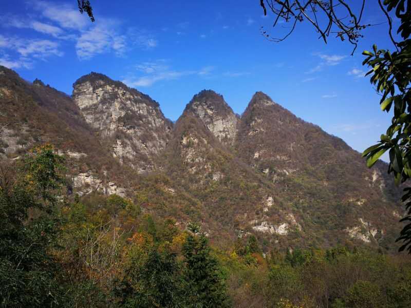 微信图片_202011021114503