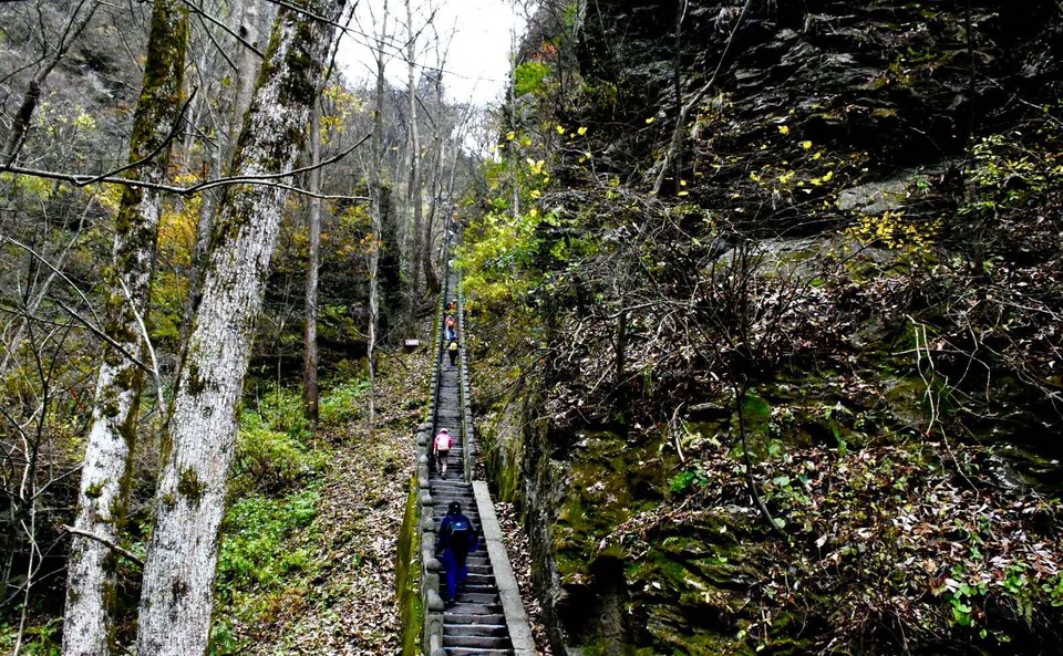 微信图片_202011021114504