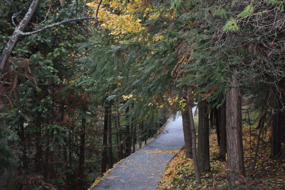 微信图片_202011021114507