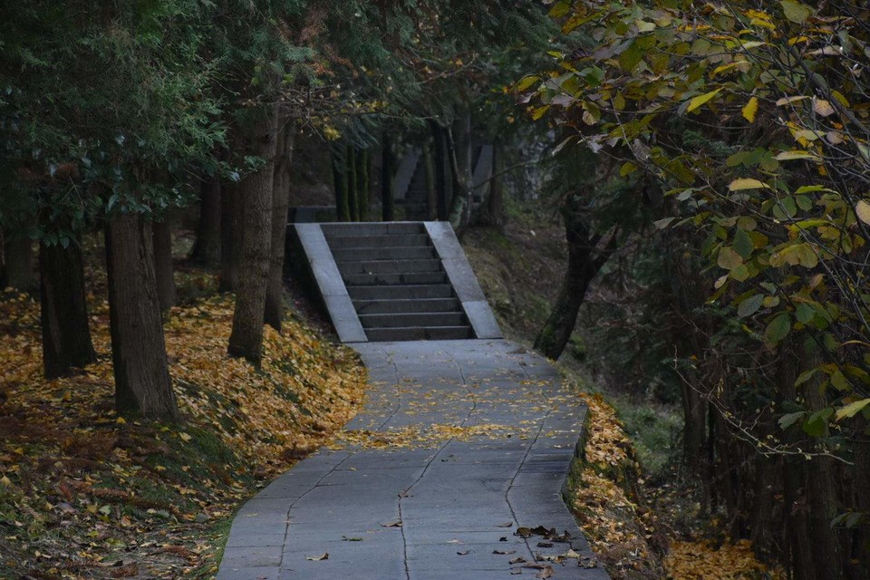 微信图片_202011021116103