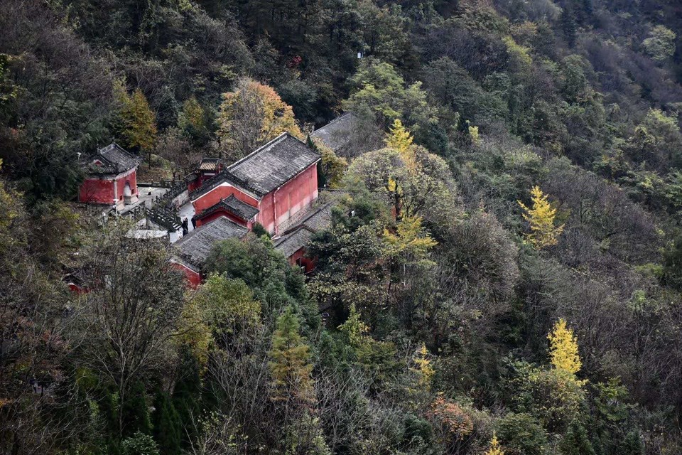 微信图片_202011021116108