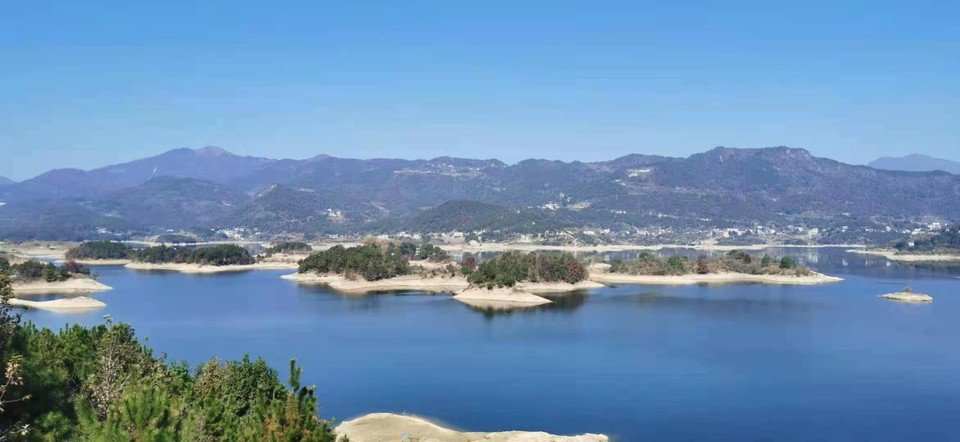 微信图片_20201116143518