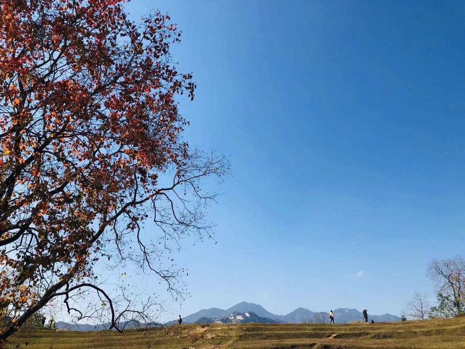 微信图片_20201116143613