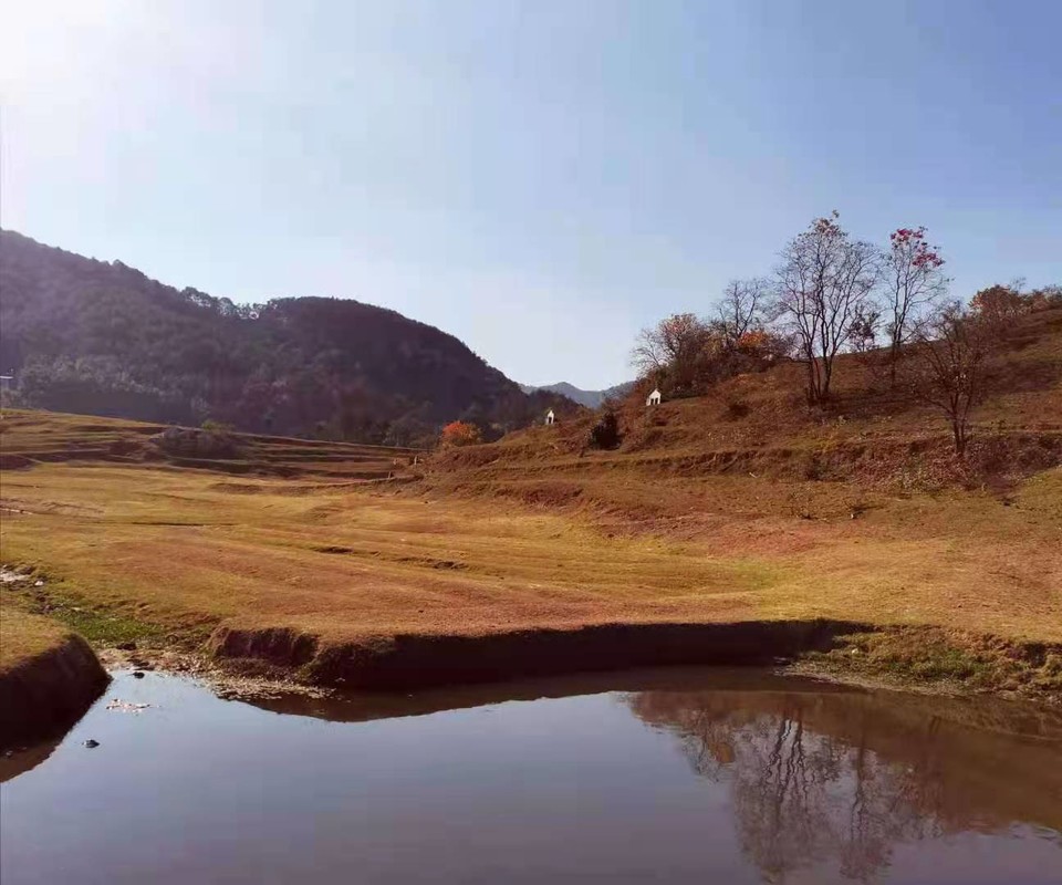 微信图片_20201116143811