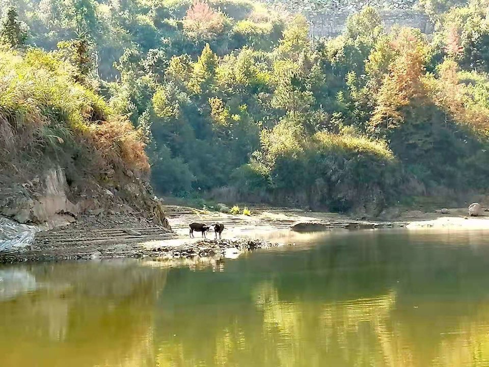 微信图片_202011161435184